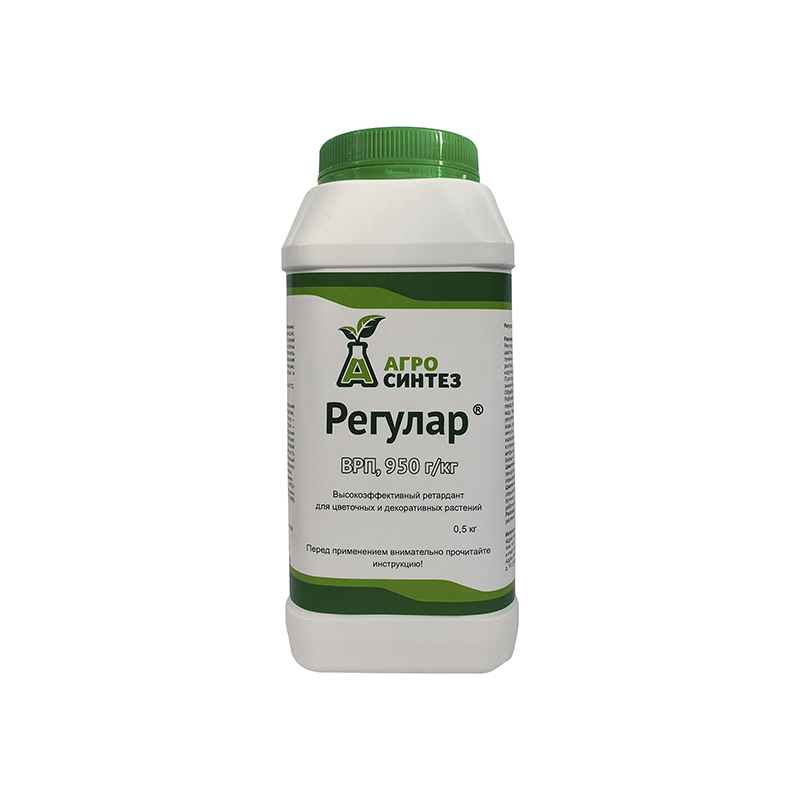 Регулар