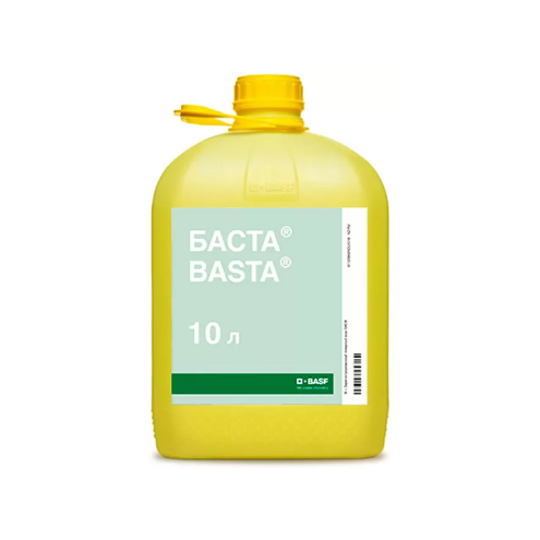 Баста, ВР