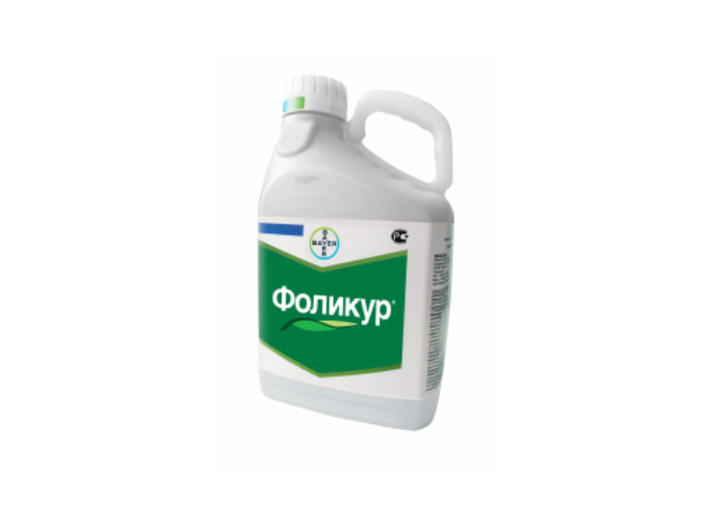 Фоликур, КЭ