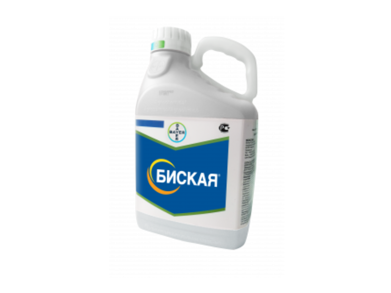 Биская, МД